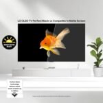 LG 55-Inch Class OLED evo AI 4K C5 Series Smart TV w/Dolby Atmos, Dolby Vision, HDR10, AI Super Upscaling 4K, Filmmaker Mode, Wow Orchestra, Alexa Built-in (OLED55C5PUA, 2025) - Image 3