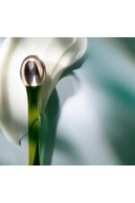 La Mer Eyes The Eye Concentrate 15ml, 0.51 Fl Oz - Image 2