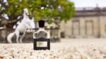 Creed Aventus, Men's Luxury Cologne, Dry Woods, Fresh & Citrus Fruity Fragrance - Image 5