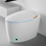 WinZo Bidet Toilet 10" Rough-in,Smart Toilet With Bidet,Oval Egg Modern Shaped, Auto Open/Flush, Adjusted Heated Seat, Warm Water and Dryer, Night Light, White