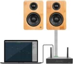 Arylic Stereo WiFi and Bluetooth 5.0, 2-Channel Class D Wireless Mini Home Amplifier for Speakers with spotify, airplay 1, Multi-Room/multizone Digital Audio Amp-Up2stream A30 + - Image 4