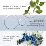 TATCHA Indigo Overnight Repair | Face Cream & Serum Treatment, Fragrance Free Night Cream, 50 ml | 1.7 oz - Image 5