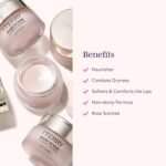 By Terry Baume De Rose Lip Balm, Nourishes, Combats Dryness, Softens & Comforts Lips, Non-sticky Formula, 10g - Image 7