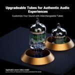 Fosi Audio Box X2 Phono Preamp, Mini Stereo Audio Hi-Fi Preamplifier with Gain Gear, Pre-Amplifier for MM Turntable Phonograph and Record Player, with DC 12V Power Supply - Image 3