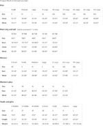 Honda NSX Vintage Gradient Sports Car Stack T-Shirt - Image 3