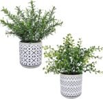 Winlyn 2 Pack Small Potted Eucalyptus Plant Artificial Plants Green Boxwood Rosemary Greenery in Modern Concrete Plant Pots