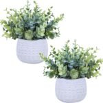 Winlyn Set of 2 Small Artificial Potted Plants Faux Eucalyptus Plant in White Geometric Ceramic Pots Small Desk Potted Plants 7.1" Tall for Home Office Room Decorations Wedding Greenery Centerpiece