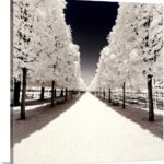 CANVAS ON DEMAND Paris Winter White Collection - Convergence Canvas Wall Art Print by Philippe Hugonnard, Home Decor, Winter, Wintry Weather Artwork,10" x10in