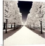 CANVAS ON DEMAND Paris Winter White Collection - Convergence Canvas Wall Art Print by Philippe Hugonnard, Home Decor, Winter, Wintry Weather Artwork,10" x10in