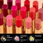 MAKI YIKA Moisture Dark Brown Lipstick for Women Hydrate Tinted Lip Balm for Dry Cracked Lips Dark Burgundy Glossy Lip Color Juicy Finish, MA071 Maduro Brown - Image 6