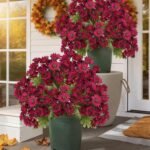 Funsdecor Artificial Sunset Mums, Artificial Outdoor Sunset Flowers, UV Resistant Waterproof Windproof, Multicolor Fall Flower With Eucalyptus, Look Real for Home Decor Planter Porch (5bundle Red)
