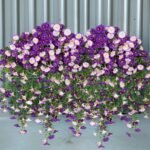 2Pcs Outdoor Faux Hanging Flowers Artificial Morning Glory with Eucalyptus Leaves UV Resistant Look Real Fake Plants for Outside Planter Porch Patio Balcony Yard Decor (Purple & Purple White) - Image 4