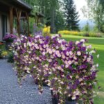 2Pcs Outdoor Faux Hanging Flowers Artificial Morning Glory with Eucalyptus Leaves UV Resistant Look Real Fake Plants for Outside Planter Porch Patio Balcony Yard Decor (Purple & Purple White) - Image 7