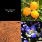 John Varvatos Men's Cologne, Artisan Eau de Toilette EDT Spray, Woody Citrus Scent with Notes of Mexican Winter Mandarin, Purple Ginger & Balambre - Image 2