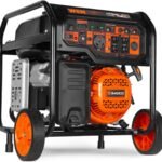 WEN 8000-Watt 120V/240V Dual Fuel Portable Generator, Electric Start, 340cc, Transfer-Switch and RV-Ready with CO Watchdog (DF8000X)